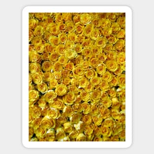 Yellow Roses Sticker